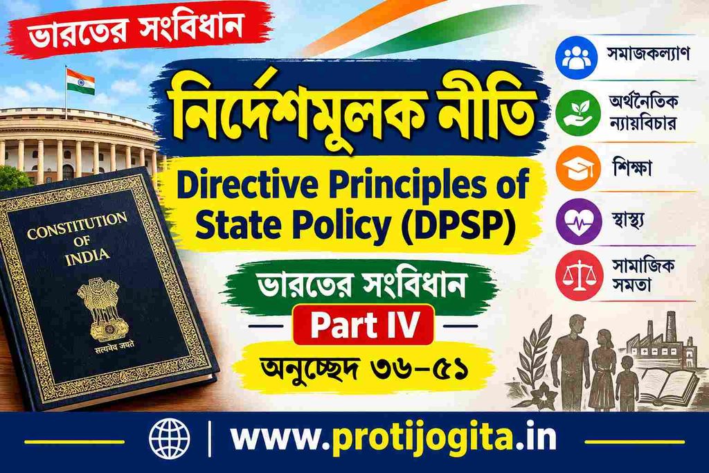 নির্দেশমূলক নীতি