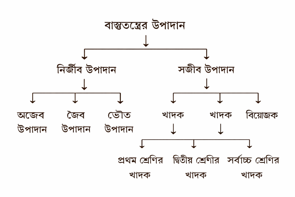বাস্তুতন্ত্র কী? বাস্তুতন্ত্রের (Ecosystem) সম্পর্কে আলোচনা: Discussion about the ecosystem. 1 ChatGPT Image Feb 24 2026 04 32 19 PM