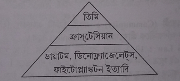 বাস্তুতন্ত্র কী? বাস্তুতন্ত্রের (Ecosystem) সম্পর্কে আলোচনা: Discussion about the ecosystem. 2 Screenshot 20260225 210442 Gallery