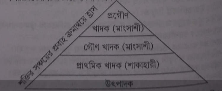 বাস্তুতন্ত্র কী? বাস্তুতন্ত্রের (Ecosystem) সম্পর্কে আলোচনা: Discussion about the ecosystem. 3 Screenshot 20260225 210527 Gallery 1