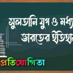 সুলতানি যুগ
