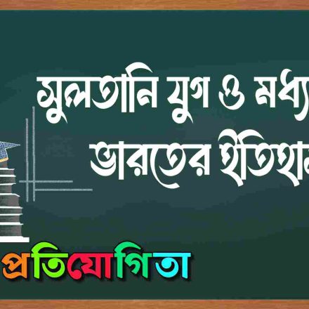 সুলতানি যুগ